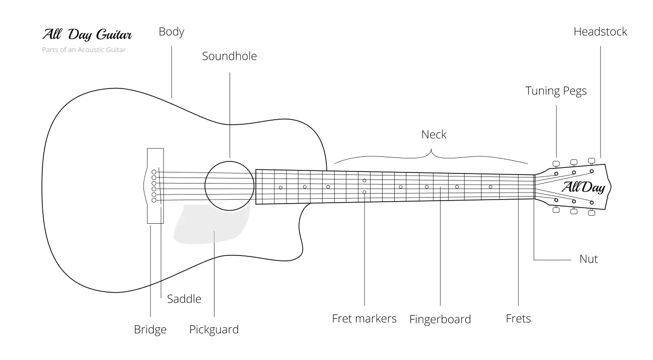 Guitar Anatomy the parts of a guitar explained.